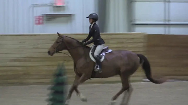 Video of ASTORIA ridden by SARAH L. BERKOWITZ from...