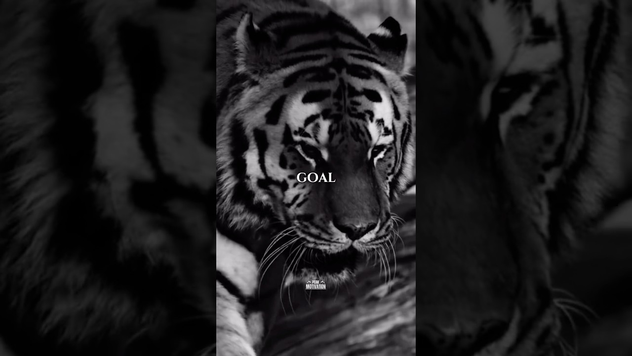 I’ll Be Better Than I Used To Be 