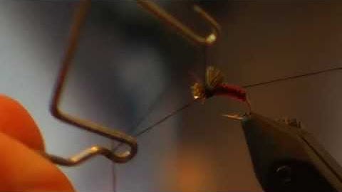 Fly Recipe - Serendipity