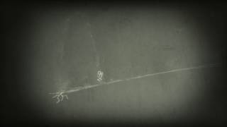 THE BEST 7 SECOND ANIMATION EVER!!!