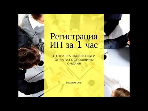 Регистрация ИП за 1 час онлайн, пошаговая инструкция