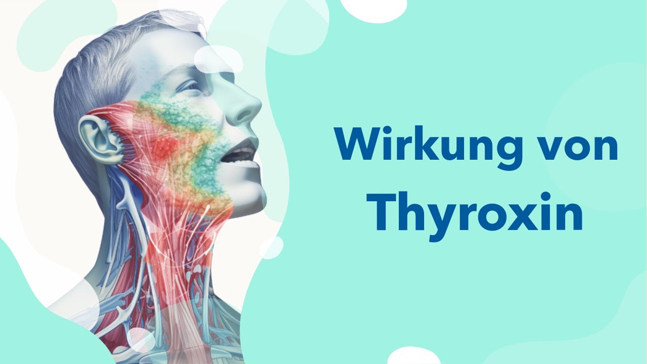 Wie Schnell Wirkt L Thyroxin Bei Kinderwunsch www.youtube.com
