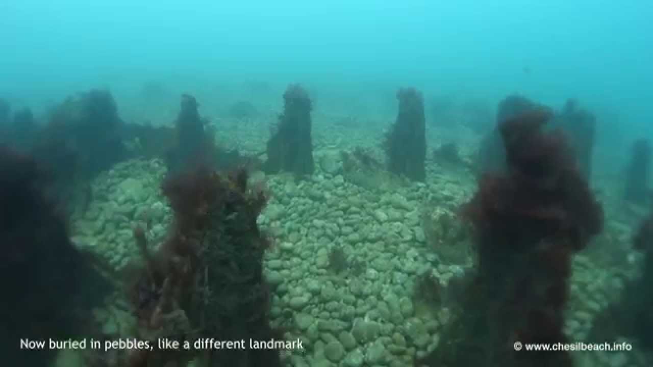 Dorset Sealife: Chesil Cove Underwater 05.09.2014 (Ray, Cuttlefish, wrecks & more)