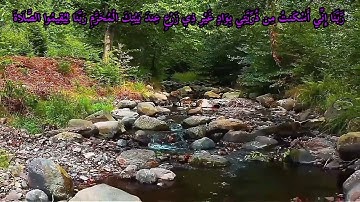 إبداع غير مسبوق من سورة إبراهيم 💜 لعملاق القراء الشيخ محمد الليثى 💚