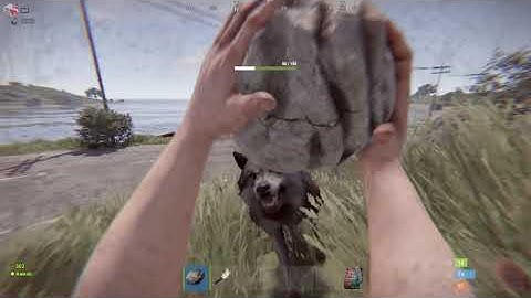 RUST - ВОЛК ВЕДЕТ СЕБЯ КАК СООООБАКА