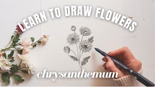 How to Draw Chrysanthemum ❃ Easy Drawing Tutorial For Beginners ❃ Fall Flower Drawing Video