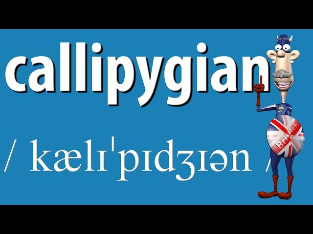 How To Pronounce Callipygous 