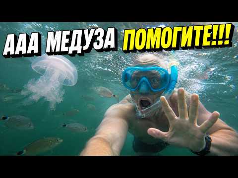 Snorkeling in Denia: I almost got stung by a jellyfish! 😱🪼
