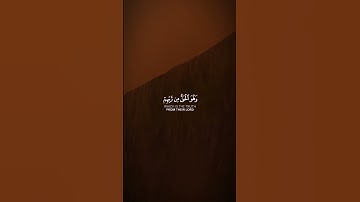 القارئ نعمة الحسان ﴿والذين آمنوا وعملوا الصالحات وآمنوا بما نزل على محمد﴾ سورة محمد 2