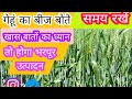 गेहूं की खेती की संपूर्ण जानकारी। गेहूं की फसल कैसे करें।gehun ki kheti