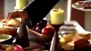 Celebrity Food Lion Commercial Net Worth