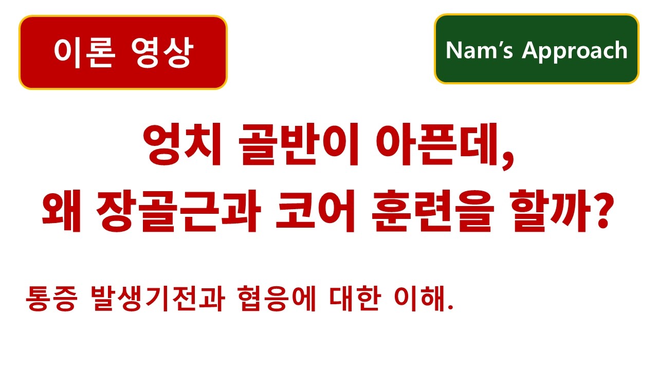 (이론 영상) 골반 엉치통증인데, 왜 장골근과 코어 훈련을 할까? 동탄 바로본신경외과 남준록 원장.