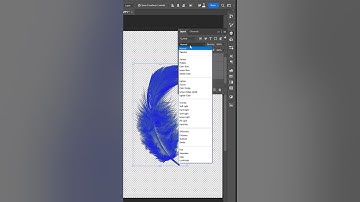 Select complicated feather 🪶  - Photoshop