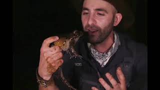 I didn't know frogs made that noise