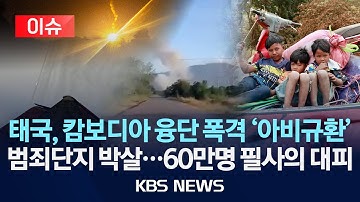 [🔴이슈] 태국, 캄보디아 융단 폭격 