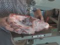Cutting moose meat on wood cutting bandsaw Cutting moose meat on wood cutting bandsaw