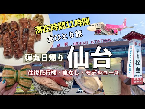 【仙台×松島】滞在11時間・往復1万円の弾丸ひとり旅｜車なし・飛行機で巡るモデルコース｜牛タン・ずんだ・お寿司など
