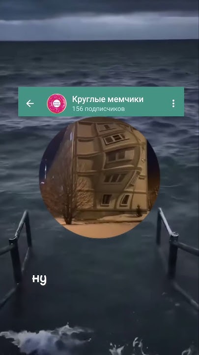 ТГК: Круглые мемчики #кругляши #мем #прикол #кружки #Круглыемемчики ...