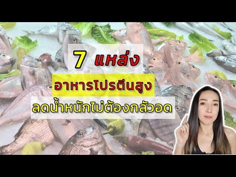 7 อันดับ อาหารโปรตีนสูง ลดน้ำหนักไม่ต้องอด | fit with Kat Ep.13