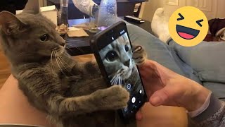 😁😁Try Not to Laugh 2024😁 New Funny Dog and Cat Video 2024😹🐶 Part 9