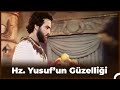 Hz. Yusuf’un Güzelliğini Gören Kadınlar Ellerini Kesiyor  - Hz. Yusuf  17. Bölüm