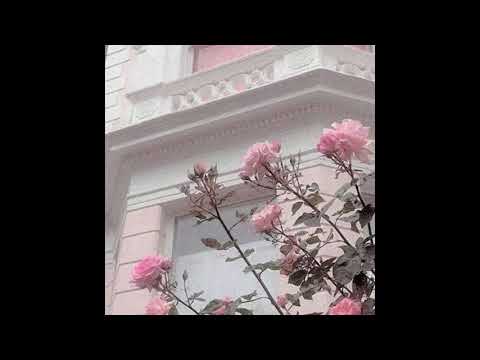 (FREE) Pinkpantheress x