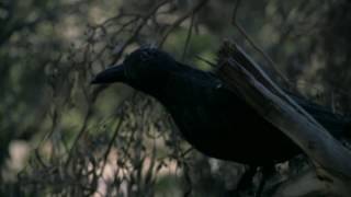 MEGA64 ONCE UPON A TIME TRAILER!!