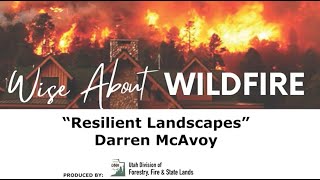darren mcavoy: resilient landscapes