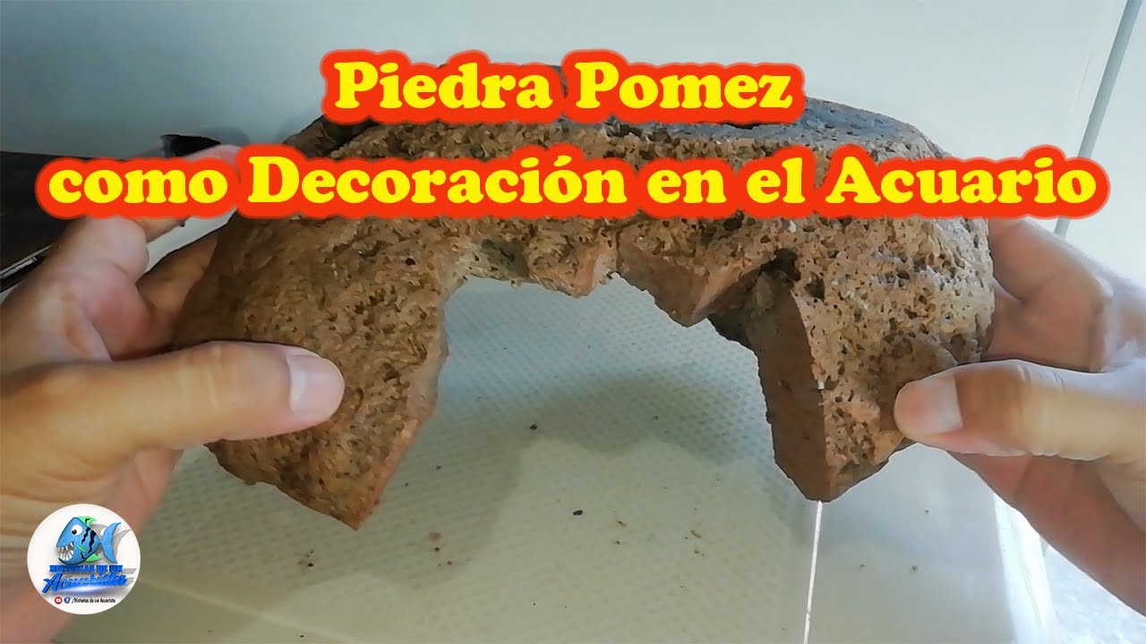 Cuestión de Peces - Piedra Pomez Acuarios Peceras x kilo