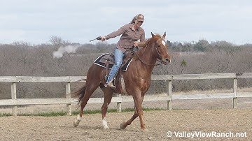 Boon Cat Bodee - mounted shooting! - ValleyViewRanch.net