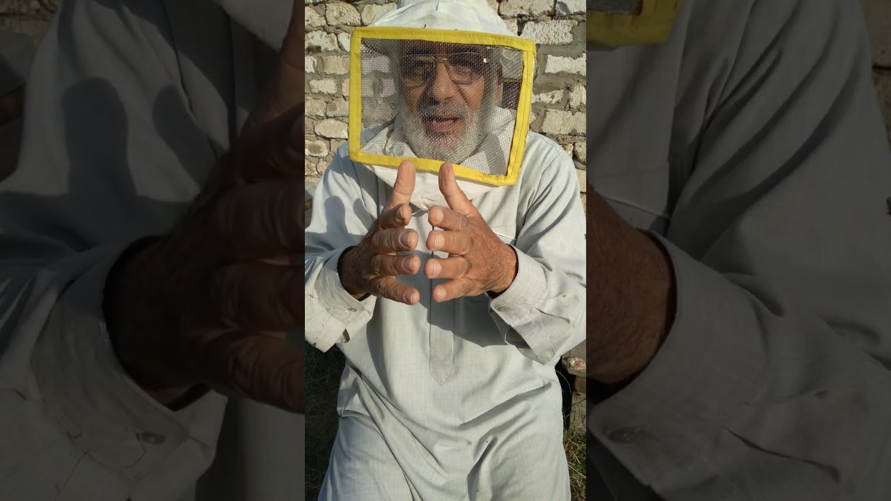 نتائج وضع ألحلبة والخميرة مع العجينة البروتينية٠