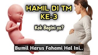 Hal Yang Harus Bumil Fahami Saat Di Trimester 3 Kehamilan