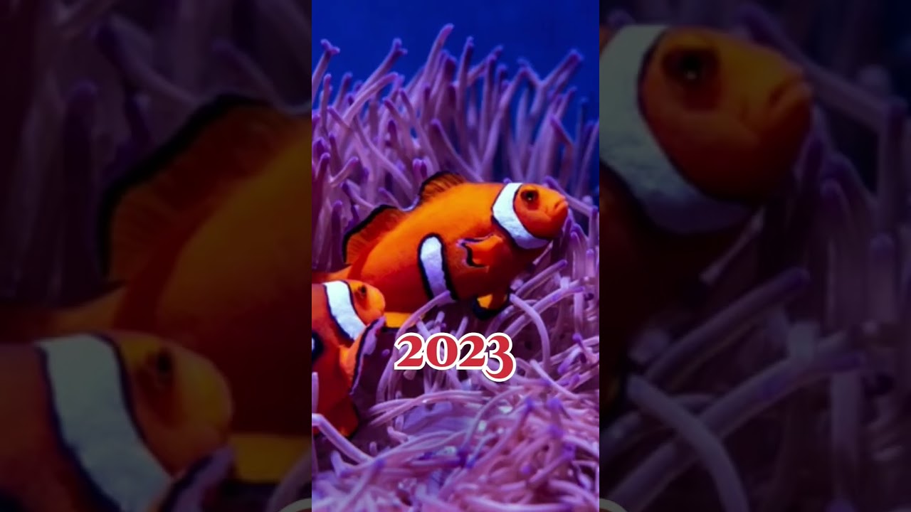 2023 Fish And 6000 Bce Fish ll Best WhatsApp Status Video 🌿🌿 ll 😈 Attitude 😈 ll 