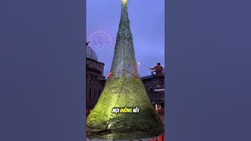 Cây thông Noel thủy tinh lớn nhất thế giới do cả thị trấn cùng tạo ra