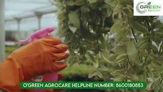 Affordable Organic Fertilizers for Gardens, Farming Land | O'Green AgroCare Fertilizing Solutions screenshot 5