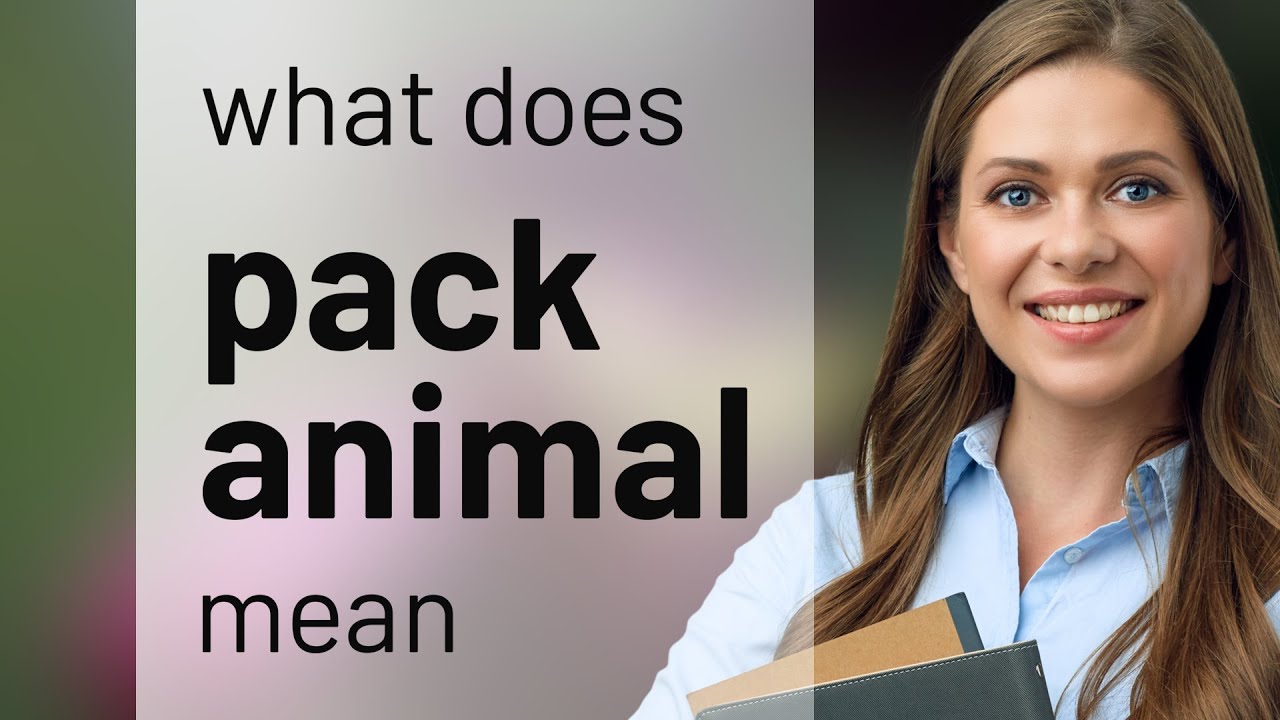 Pack Mean What Does Pack Animal Mean , Pack animal – ZUCNYS