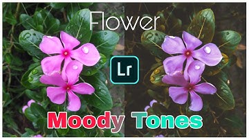 MOODY FLOWER LIGHTROOM PRESET | How to Edit Moody tones tutorial | FREE DNG AVIALABLE | BAWLAGRAPHER