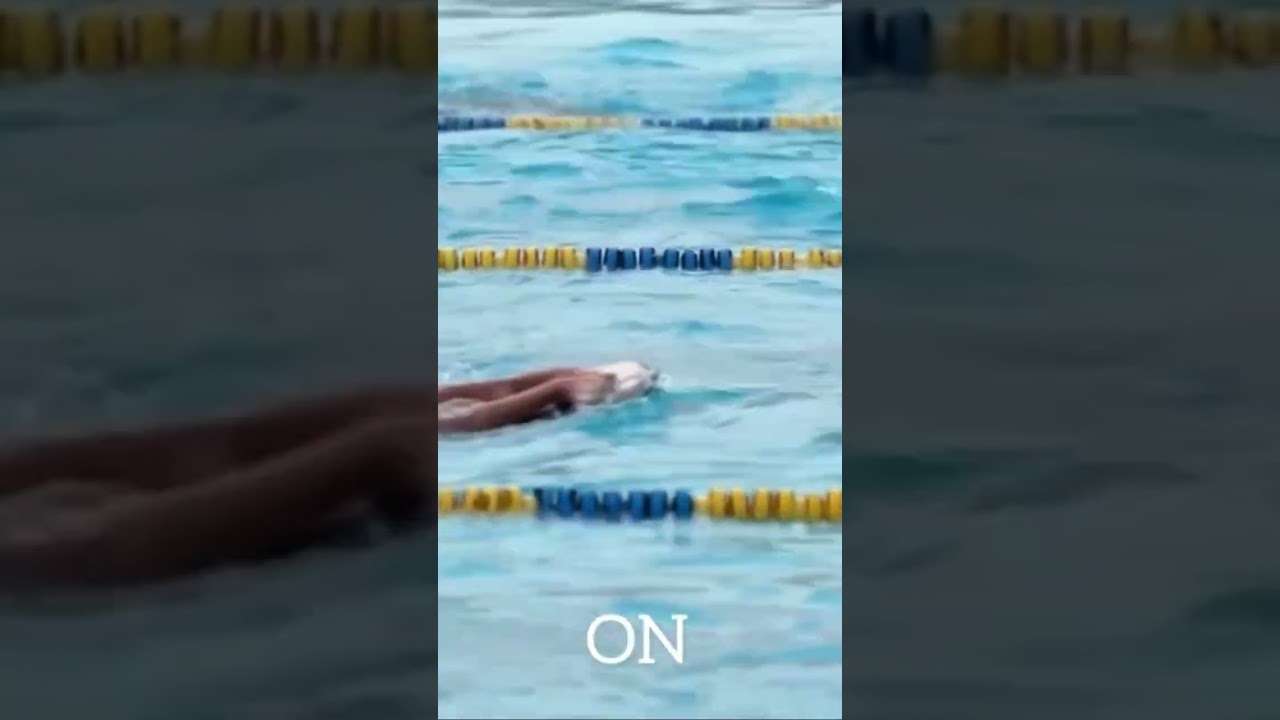 My  first birthday swim at de Dolfijn 😱🫣🫨