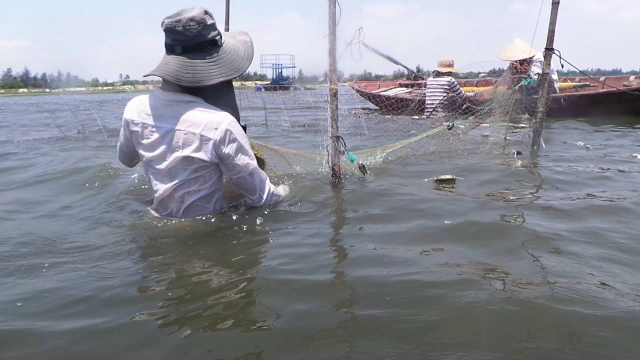 fishing hand in hoi an - De Vong river rest stop