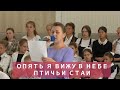 Опять я вижу в небе птичьи стаи |  Христианское пение | г.Барнаул