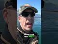 Icebergs Washing Ashore: Shocking Beach Discovery! #shorts
