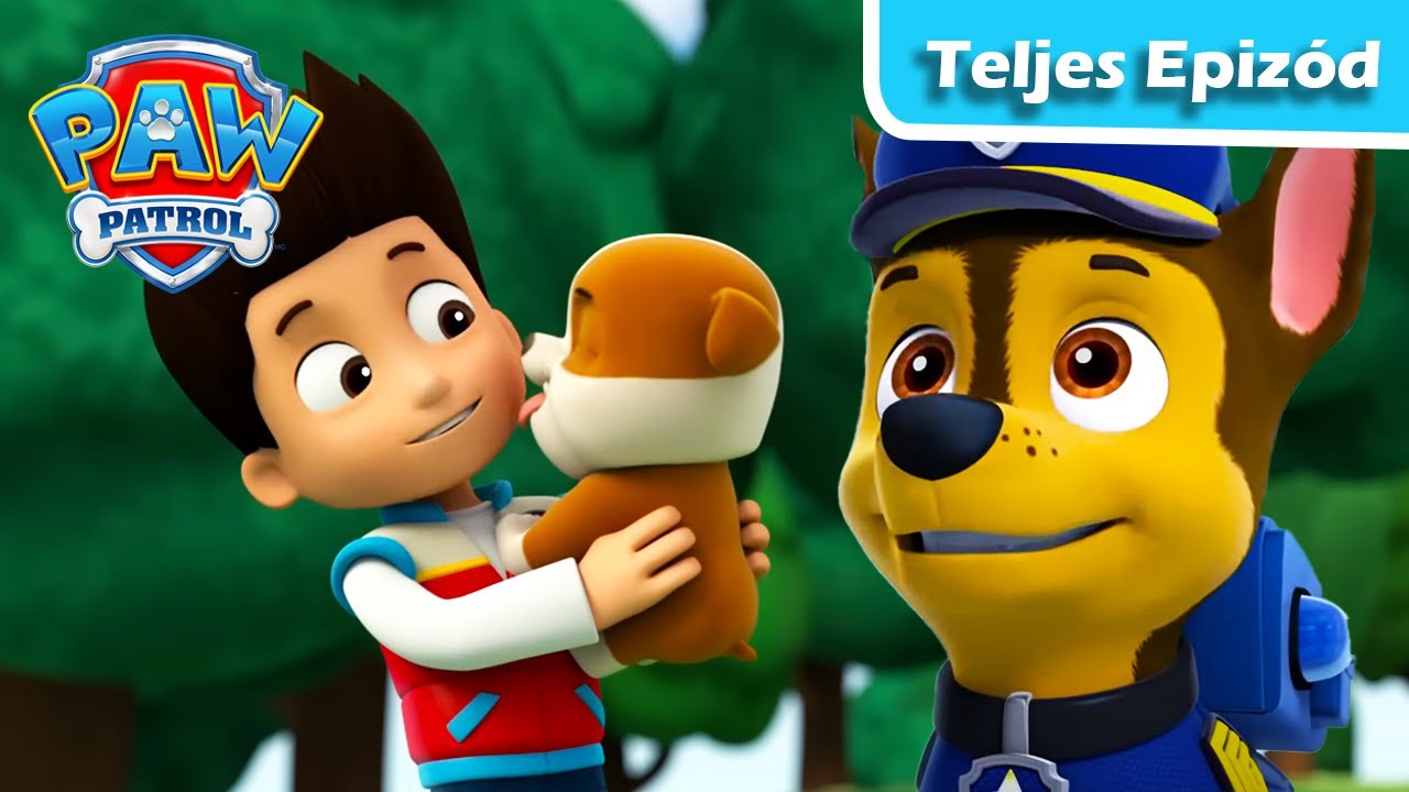 A Kiskutyák Kapnak Egy Rubblét | Mancs Őrjárat | PAW Patrol