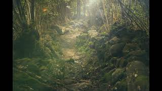 그리움에 관하여