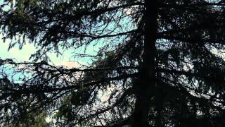 Foreign Fields - Year In Review 1 (Summer Tour with Counting Crows)