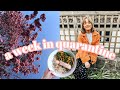 a week in UK quarantine | starting a book club &amp; lockdown life