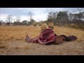 034: Antelope Park - Zimbabwe - Lion Feeding