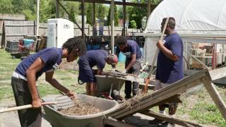 2016 Summer Youth Employment Program