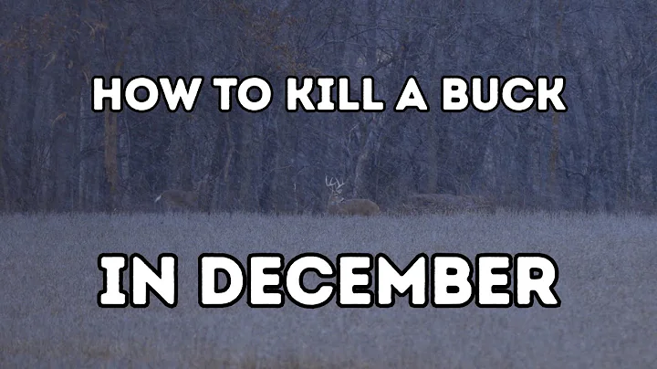 Late Season Deer Hunting: The Best December Tactics to Kill Big Bucks