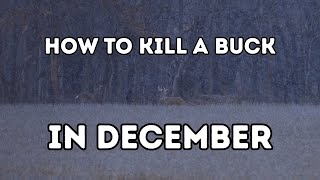 Late Season Deer Hunting: The Best December Tactics to Kill Big Bucks