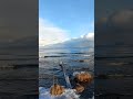 19 ноября 2024 г.